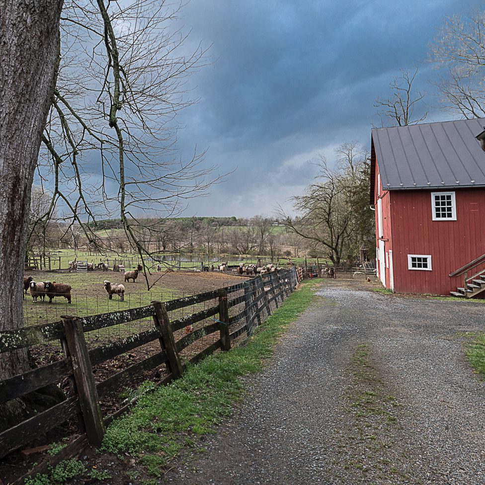 Skys_sky-Pano-2