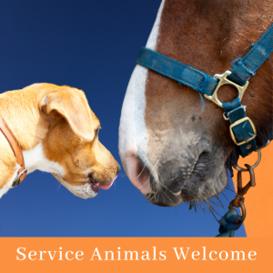 Service animals are welcome at the Waterford Fair.